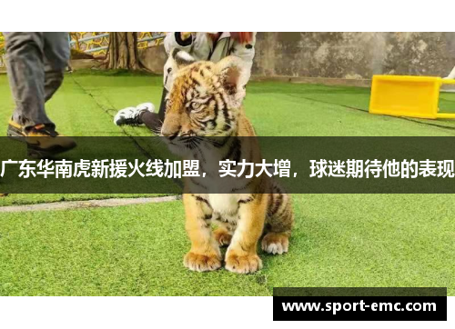 广东华南虎新援火线加盟，实力大增，球迷期待他的表现